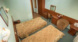 Гостиница Амакс Премьер Пермь Двухместный номер с 1 кроватью или 2 отдельными кроватями-17